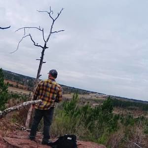 Meet your Posher, Elmer